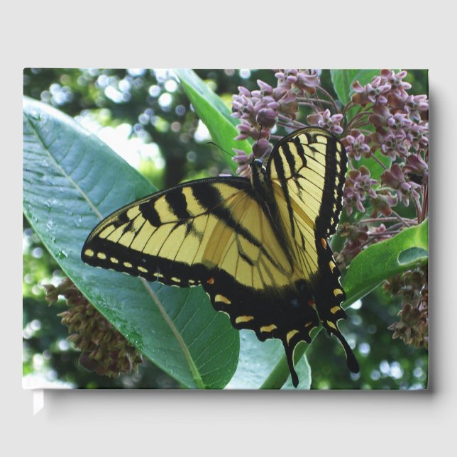 Swallowtail Butterfly I on Milkweed at Shenandoah Guest Book (Front)