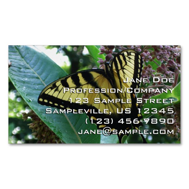 Swallowtail Butterfly I on Milkweed at Shenandoah Magnetic Business Card (Front)