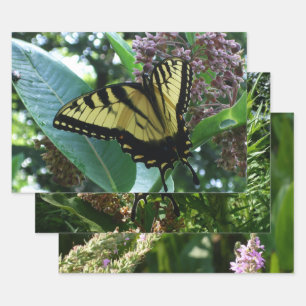 Swallowtail Butterfly I on Milkweed at Shenandoah Wrapping Paper Sheet