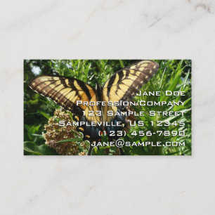 Swallowtail Butterfly III Beautiful Colourful Phot Business Card