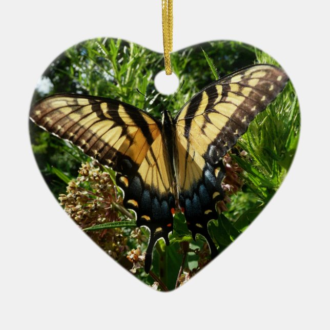 Swallowtail Butterfly III Beautiful Colourful Phot Ceramic Ornament (Front)