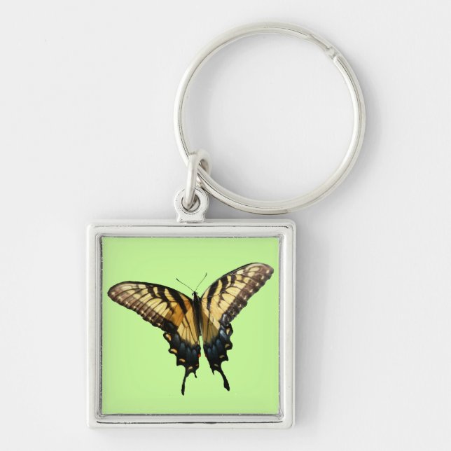 Swallowtail Butterfly III Beautiful Colourful Phot Keychain (Front)