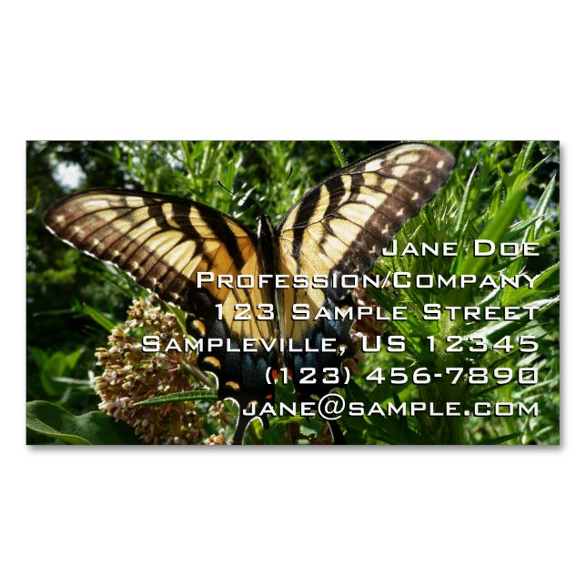 Swallowtail Butterfly III Beautiful Colourful Phot Magnetic Business Card (Front)