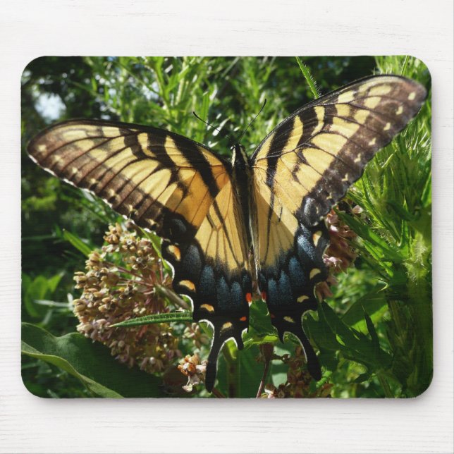 Swallowtail Butterfly III Beautiful Colourful Phot Mouse Pad (Front)