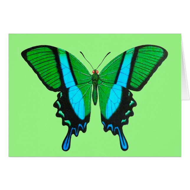 Swallowtail Butterfly in Green, Turquoise & Black (Front Horizontal)