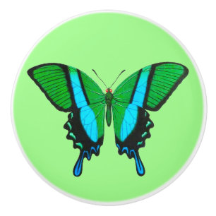 Swallowtail Butterfly in Green, Turquoise & Black Ceramic Knob
