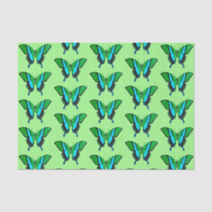 Swallowtail Butterfly in Green, Turquoise & Black Tissue Paper