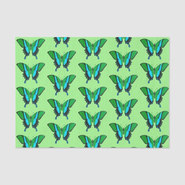 Swallowtail Butterfly in Green, Turquoise & Black Tissue Paper (Front)