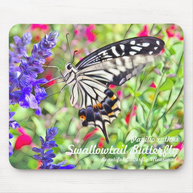 Swallowtail Butterfly Mouse Pad (Front)