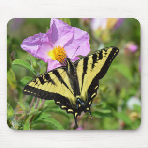 Swallowtail butterfly mouse pad