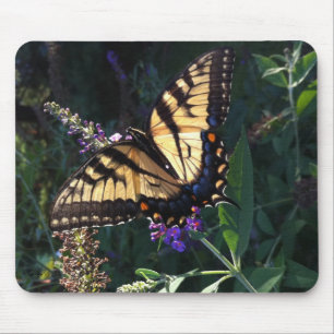 Swallowtail Butterfly Mousepad