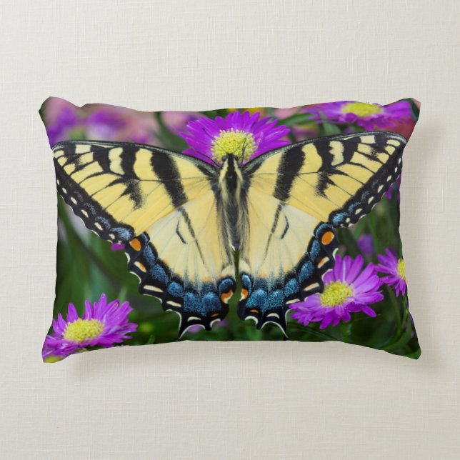 Swallowtail Butterfly on daisy Decorative Pillow (Front)