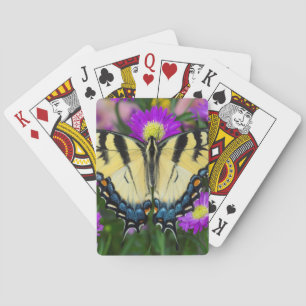 Swallowtail Butterfly on daisy Playing Cards