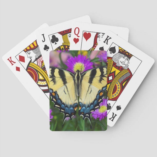 Swallowtail Butterfly on daisy Playing Cards (Back)