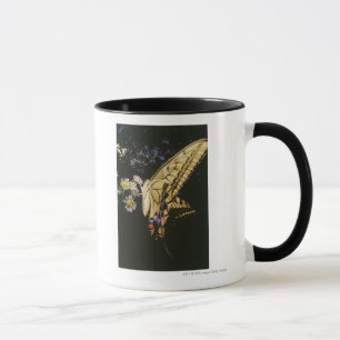 Swallowtail Butterfly on flower, close up Mug
