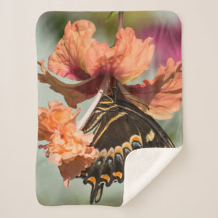 Swallowtail Butterfly On Orange Hibiscus Sherpa Blanket