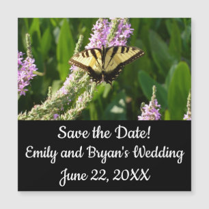 Swallowtail Butterfly on Purple Wildflowers