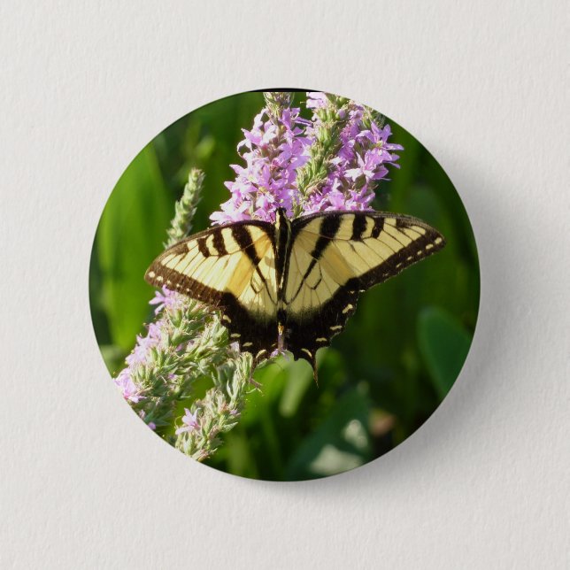 Swallowtail Butterfly on Purple Wildflowers 2 Inch Round Button (Front)