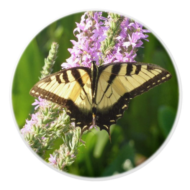 Swallowtail Butterfly on Purple Wildflowers Ceramic Knob (Front)