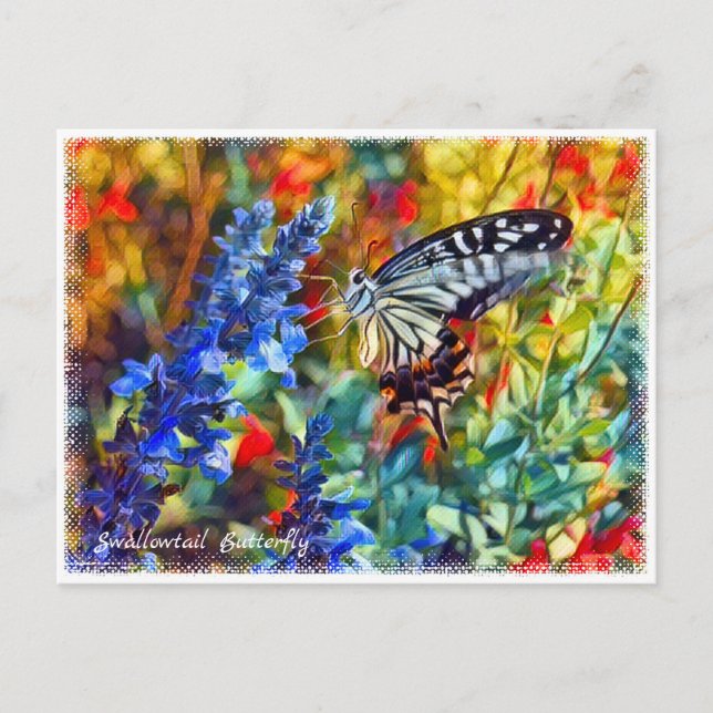 Swallowtail Butterfly Postcard (Front)