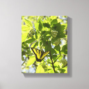 Swallowtail butterfly Stretched Canvas Print