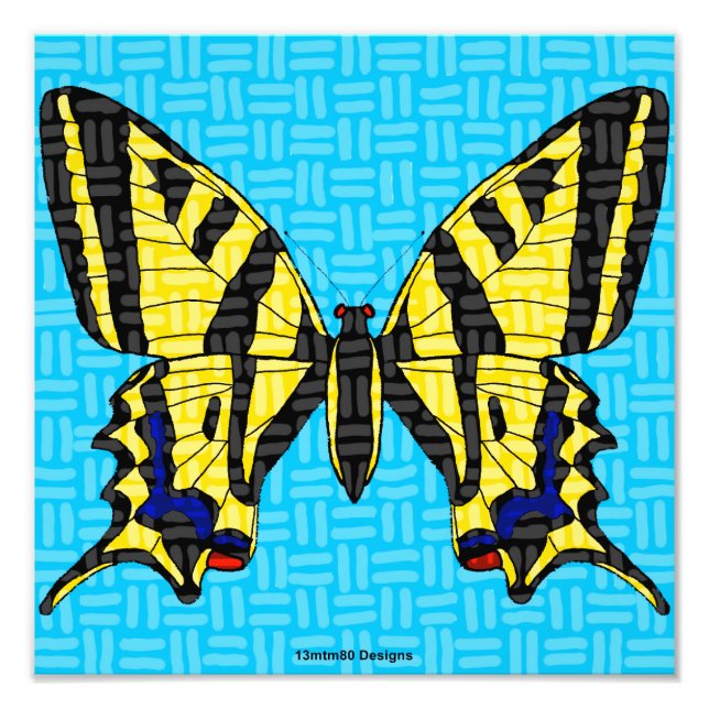 Swallowtail - Impression photo (Devant)