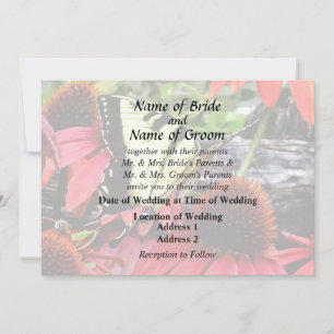Swallowtail on Red Coneflower Invitation
