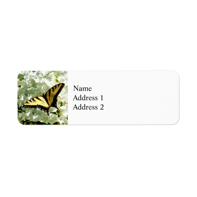Swallowtail sur Hydrangea blanc (Devant)