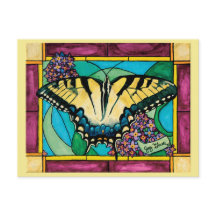 Swallowtail Window Postcard