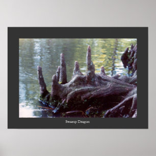 Swamp Dragon Poster