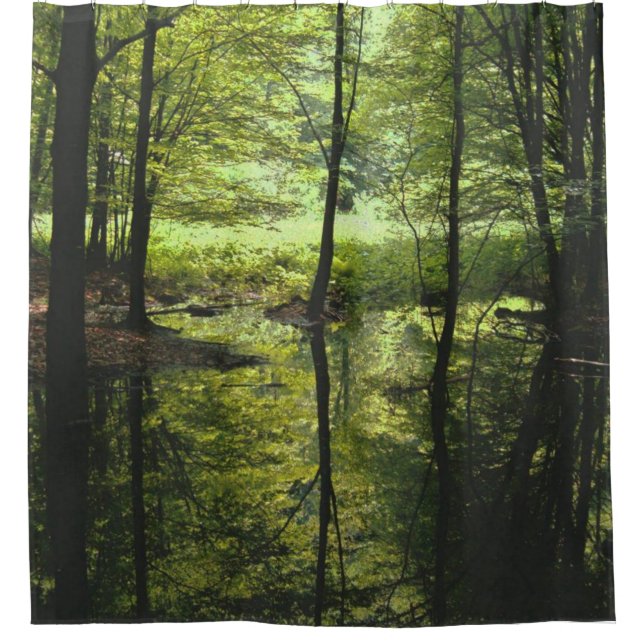 SWAMP in the FOREST (Front)