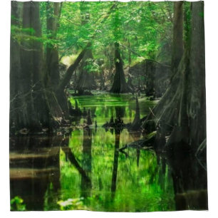 SWAMP in the FOREST II
