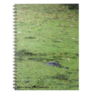 Swamp Monster Notebook