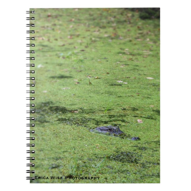 Swamp Monster Notebook (Front)