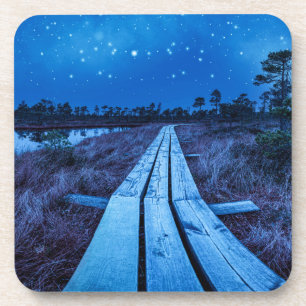Swamp night coaster