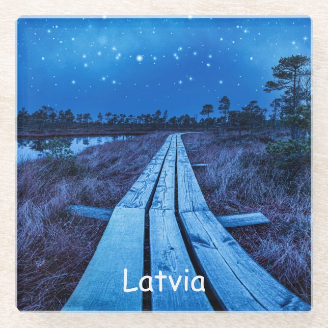 Swamp night glass coaster (Front)