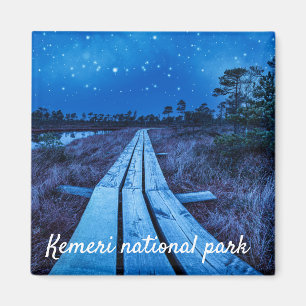 Swamp night magnet