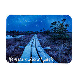 Swamp night magnet