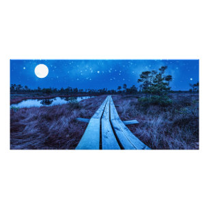 Swamp night photo print