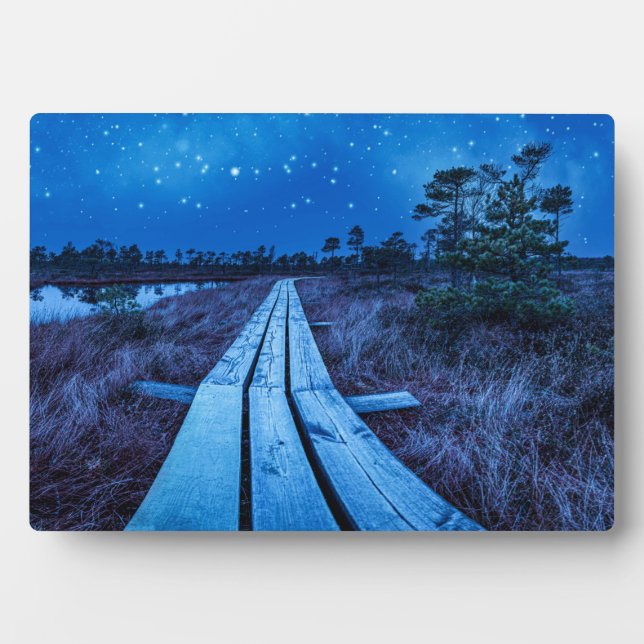 Swamp night plaque (Front)