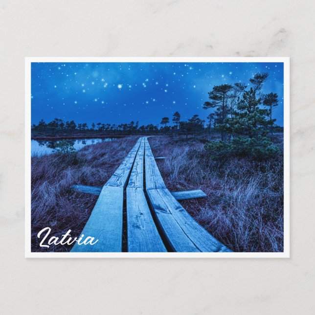 Swamp night postcard (Front)