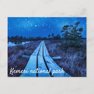 Swamp night postcard