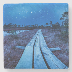 Swamp night stone coaster