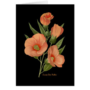 Swamp Rose Mallow Blank Note Card