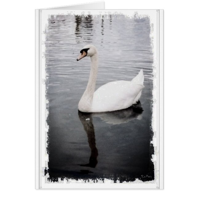 Swan (Devant)