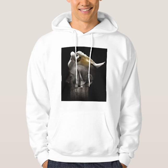 Swan 2013 hoodie (Front)