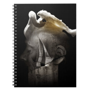 Swan 2013 notebook