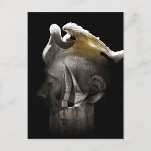 Swan 2013 postcard
