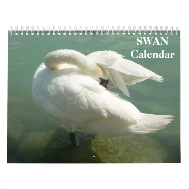 Swan 2023 calendar (Cover)