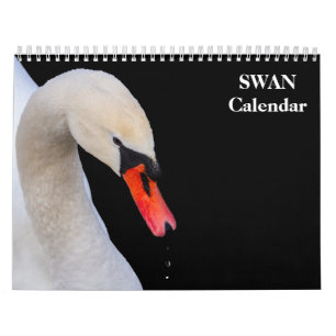 Swan 2025 calendar